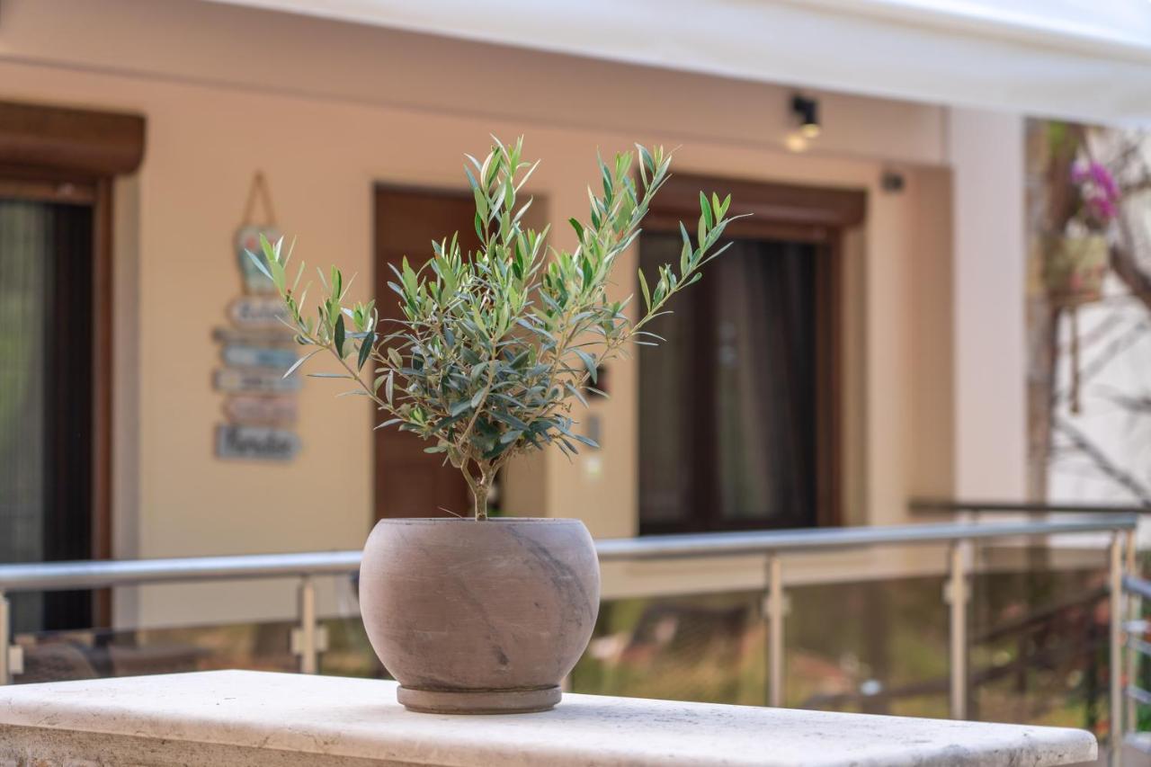 Appartamento Νεφέλη-Σπίτι Ολόκληρο Για Αξέχαστες Διακοπές Στην Σιβηρη Siviri Esterno foto